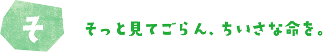 そっと見てごらん、ちいさな命を。